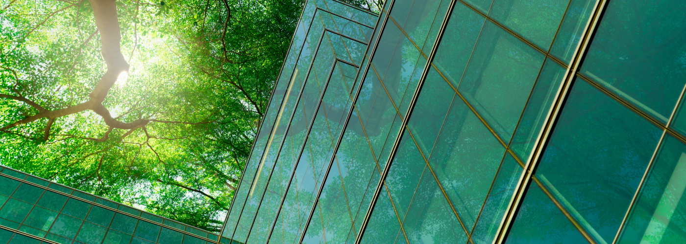 Baumkrone Glasfassade grün von unten_AdobeStock_447036066_1400x500.jpg