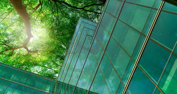 Baumkrone Glasfassade grün von unten_AdobeStock_447036066_600x320.jpg