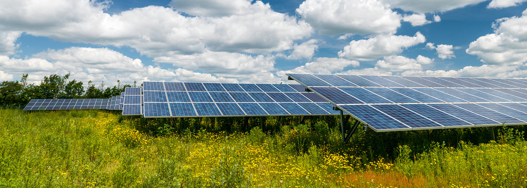 Solarpark_Header_1750x625.jpg