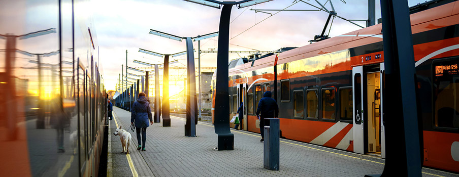 DAL_SPNV_Banner01_904x350.jpg