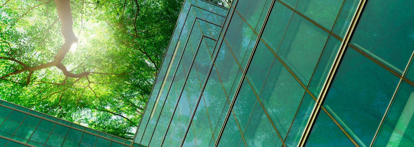 Baumkrone Glasfassade gr&uuml;n von unten_AdobeStock_447036066_1400x500.jpg