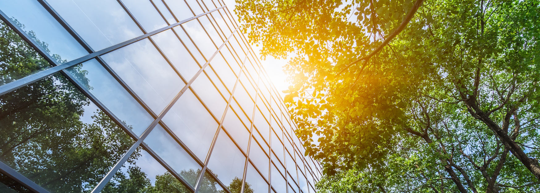 Geb&auml;ude Fensterfront_AdobeStock_385654899_1750x625.jpg
