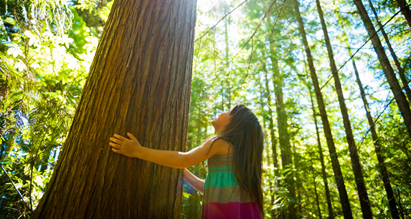 Engagement_Teaser_600 x 320.jpg