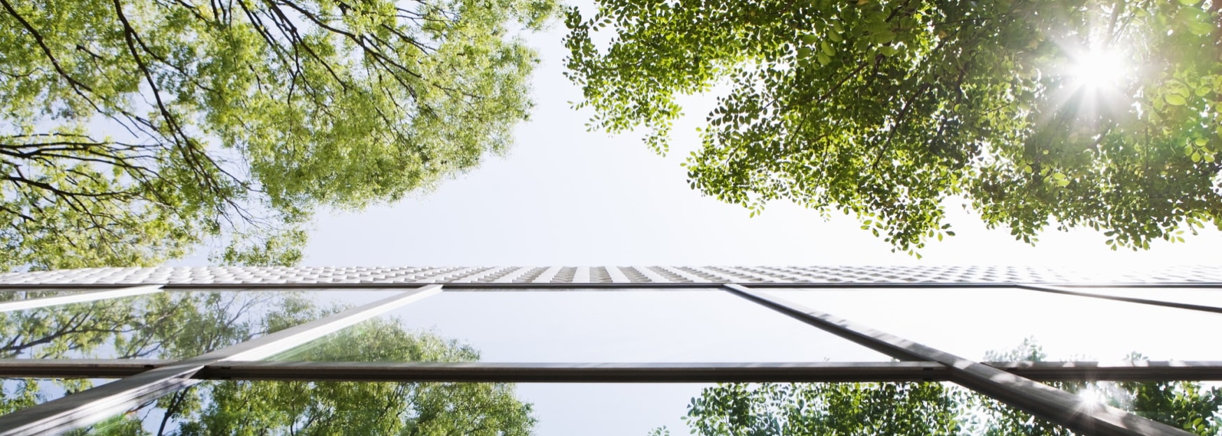 Immobilien_Header-min.jpg